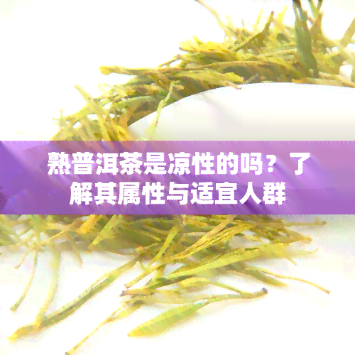 熟普洱茶是凉性的吗？了解其属性与适宜人群