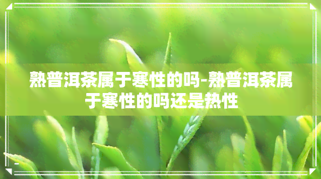 熟普洱茶属于寒性的吗-熟普洱茶属于寒性的吗还是热性