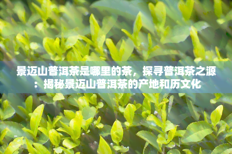 景迈山普洱茶是哪里的茶，探寻普洱茶之源：揭秘景迈山普洱茶的产地和历文化