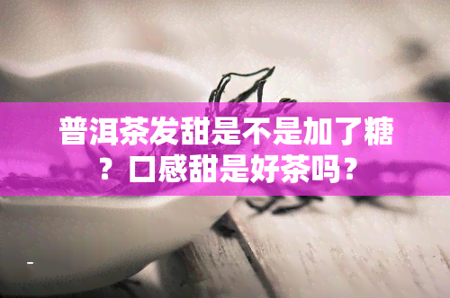 普洱茶发甜是不是加了糖？口感甜是好茶吗？