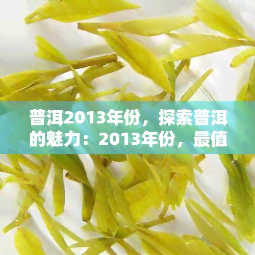 普洱2013年份，探索普洱的魅力：2013年份，最值得期待的茶叶之一