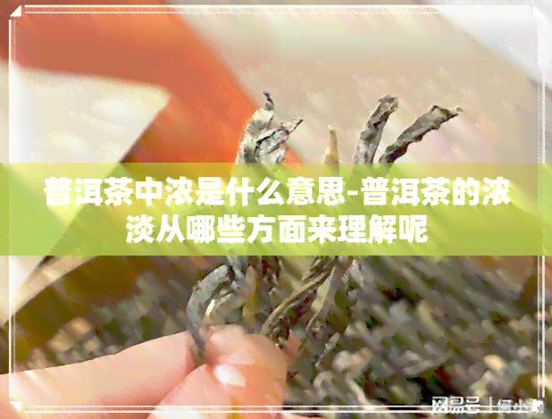 普洱茶中浓是什么意思-普洱茶的浓淡从哪些方面来理解呢