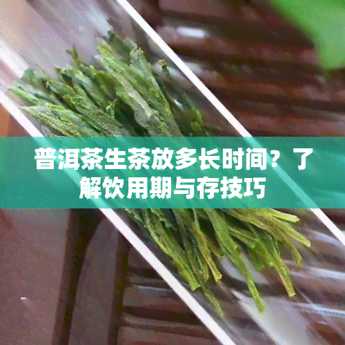 普洱茶生茶放多长时间？了解饮用期与存技巧