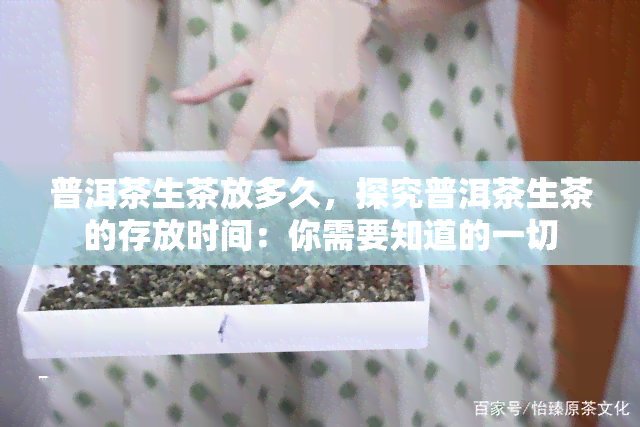 普洱茶生茶放多久，探究普洱茶生茶的存放时间：你需要知道的一切