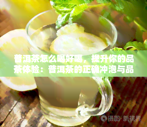 普洱茶怎么喝好喝，提升你的品茶体验：普洱茶的正确冲泡与品尝方法