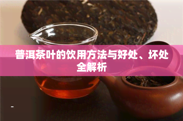 普洱茶叶的饮用方法与好处、坏处全解析