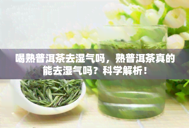 喝熟普洱茶去湿气吗，熟普洱茶真的能去湿气吗？科学解析！