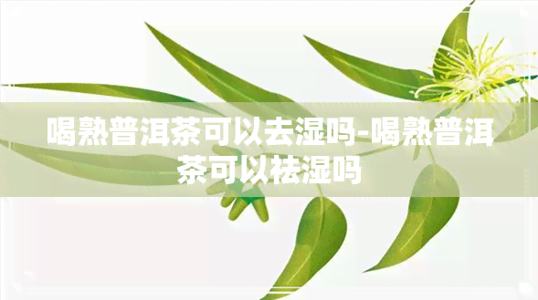 喝熟普洱茶可以去湿吗-喝熟普洱茶可以祛湿吗