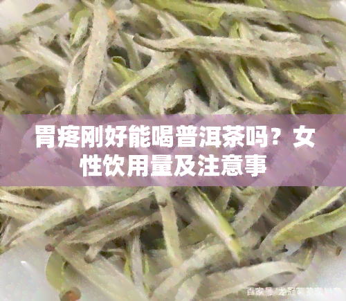 胃疼刚好能喝普洱茶吗？女性饮用量及注意事