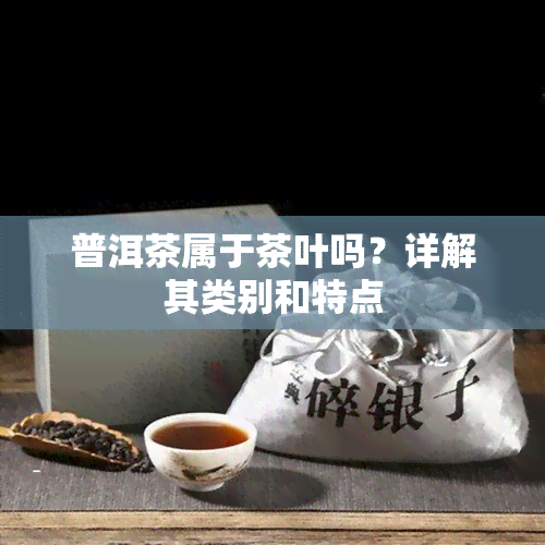 普洱茶属于茶叶吗？详解其类别和特点