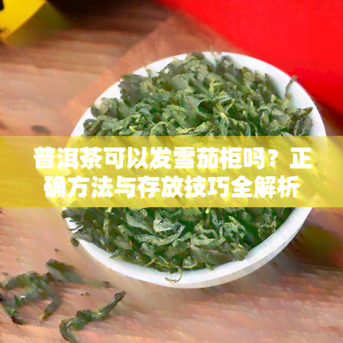 普洱茶可以发雪茄柜吗？正确方法与存放技巧全解析