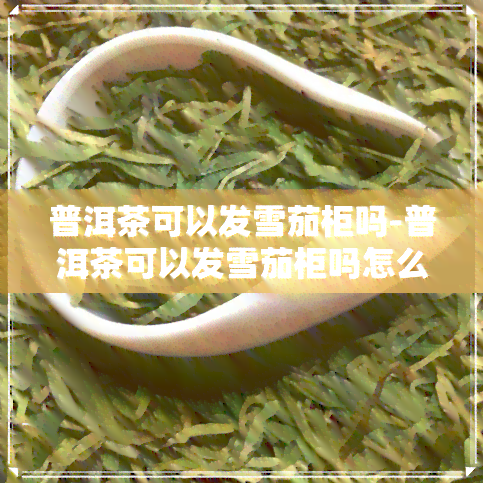 普洱茶可以发雪茄柜吗-普洱茶可以发雪茄柜吗怎么发