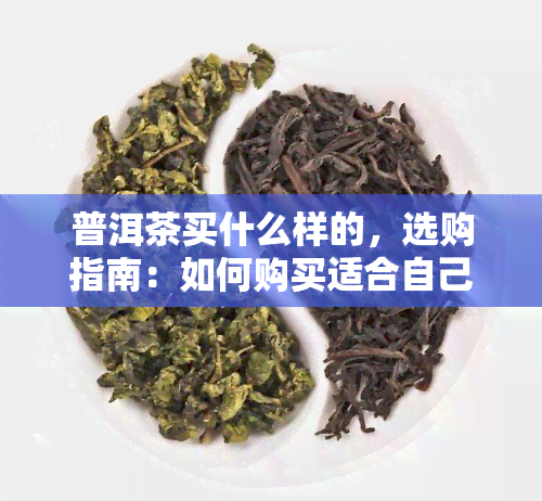 普洱茶买什么样的，选购指南：如何购买适合自己口味的普洱茶？