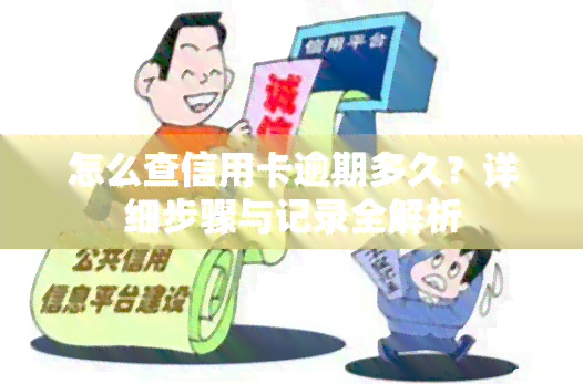 怎么查信用卡逾期多久？详细步骤与记录全解析