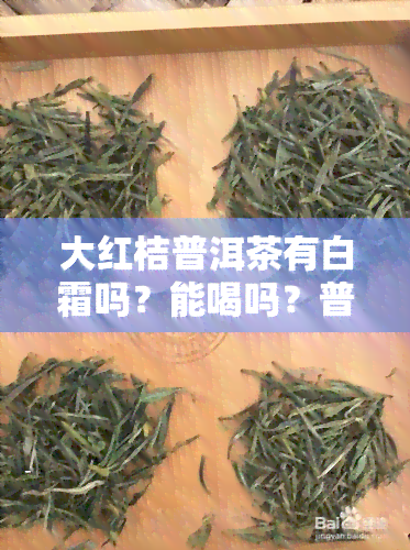 大红桔普洱茶有白霜吗？能喝吗？普洱大红柑与大红柑普洱茶的区别、存放时间及适合人群