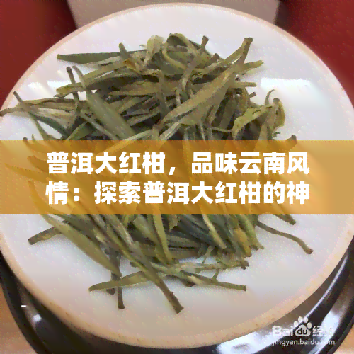 普洱大红柑，品味云南风情：探索普洱大红柑的神秘魅力