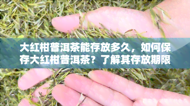 大红柑普洱茶能存放多久，如何保存大红柑普洱茶？了解其存放期限！