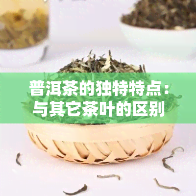 普洱茶的独特特点：与其它茶叶的区别、特性与卖点解析