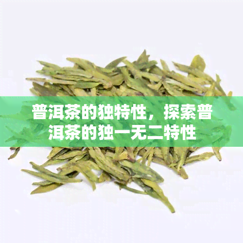 普洱茶的独特性，探索普洱茶的独一无二特性