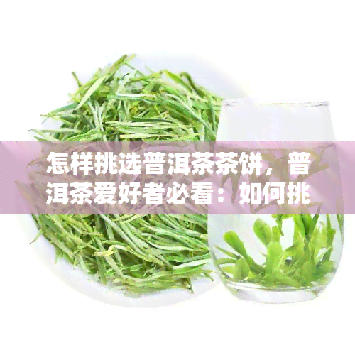 怎样挑选普洱茶茶饼，普洱茶爱好者必看：如何挑选优质的茶饼？