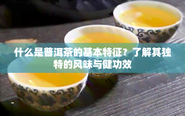 什么是普洱茶的基本特征？了解其独特的风味与健功效