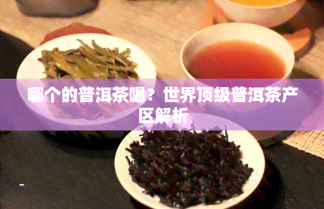 哪个的普洱茶喝？世界顶级普洱茶产区解析