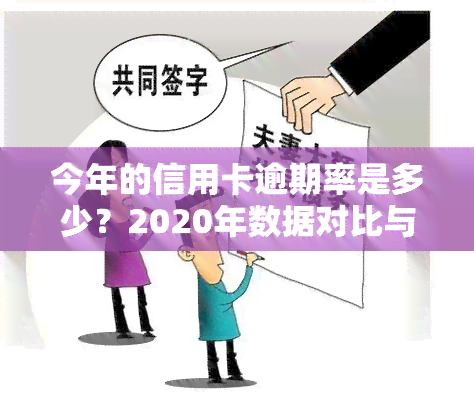 今年的信用卡逾期率是多少？2020年数据对比与应对措