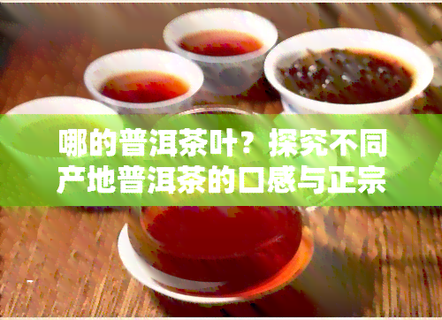 哪的普洱茶叶？探究不同产地普洱茶的口感与正宗程度