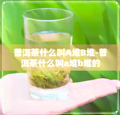 普洱茶什么叫A堆B堆-普洱茶什么叫a堆b堆的