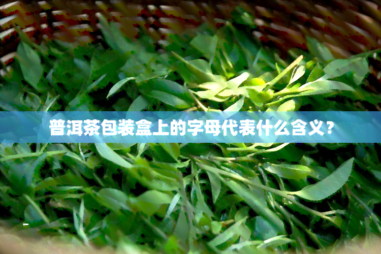 普洱茶包装盒上的字母代表什么含义？