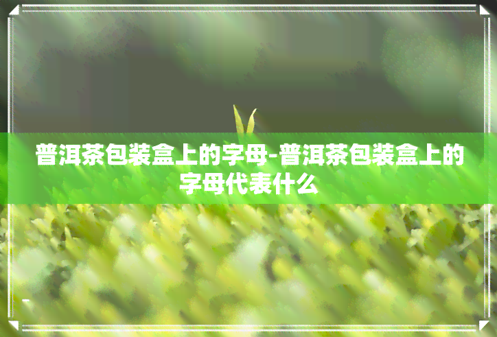 普洱茶包装盒上的字母-普洱茶包装盒上的字母代表什么