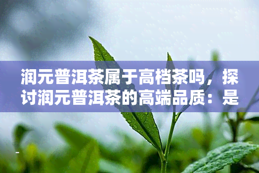 润元普洱茶属于高档茶吗，探讨润元普洱茶的高端品质：是否属于高档茶？