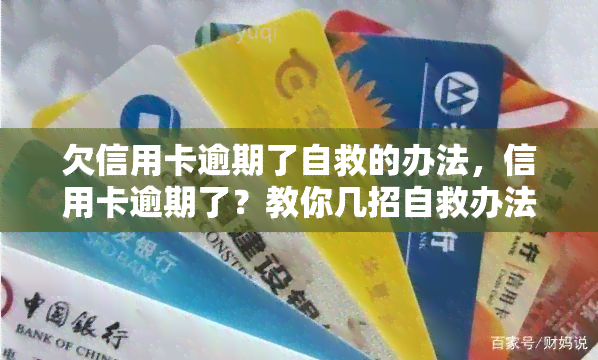 欠信用卡逾期了自救的办法，信用卡逾期了？教你几招自救办法！