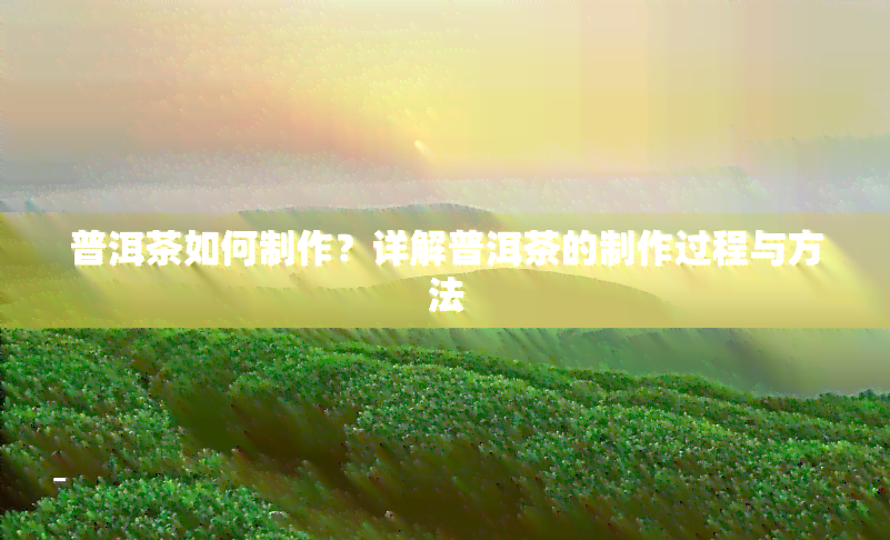 普洱茶如何制作？详解普洱茶的制作过程与方法