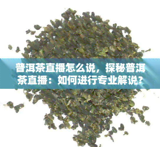 普洱茶直播怎么说，探秘普洱茶直播：如何进行专业解说？