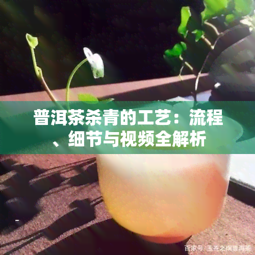 普洱茶杀青的工艺：流程、细节与视频全解析