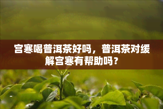 宫寒喝普洱茶好吗，普洱茶对缓解宫寒有帮助吗？