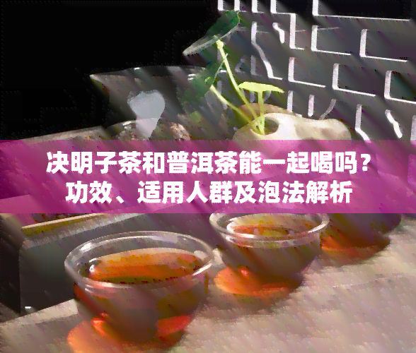 决明子茶和普洱茶能一起喝吗？功效、适用人群及泡法解析