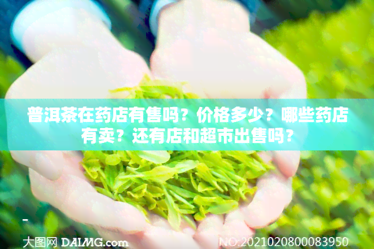 普洱茶在店有售吗？价格多少？哪些店有卖？还有店和超市出售吗？