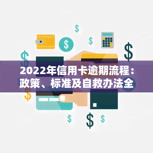 2022年信用卡逾期流程：政策、标准及自救办法全解析