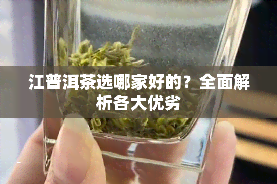 江普洱茶选哪家好的？全面解析各大优劣