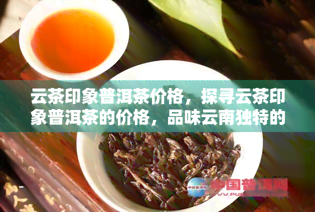 云茶印象普洱茶价格，探寻云茶印象普洱茶的价格，品味云南独特的茶文化