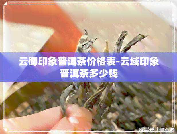 云御印象普洱茶价格表-云域印象普洱茶多少钱