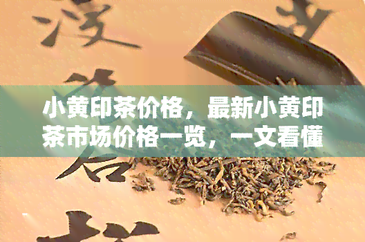 小黄印茶价格，最新小黄印茶市场价格一览，一文看懂购买指南