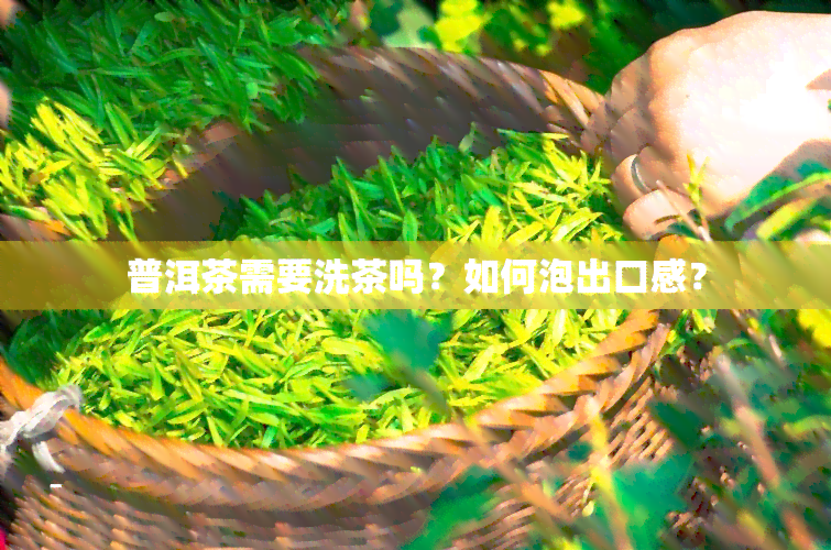 普洱茶需要洗茶吗？如何泡出口感？