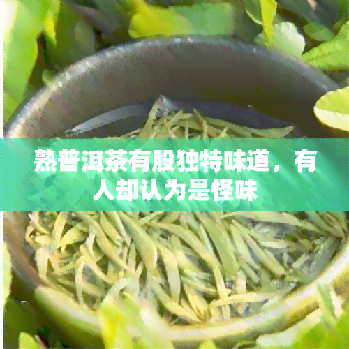 熟普洱茶有股独特味道，有人却认为是怪味