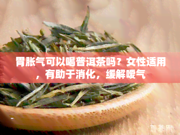 胃胀气可以喝普洱茶吗？女性适用，有助于消化，缓解嗳气