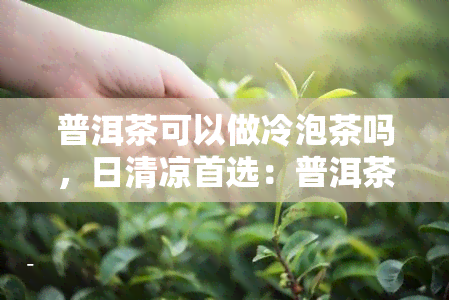 普洱茶可以做冷泡茶吗，日清凉首选：普洱茶也能做出美味冷泡茶！