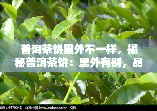 普洱茶饼里外不一样，揭秘普洱茶饼：里外有别，品味独特！