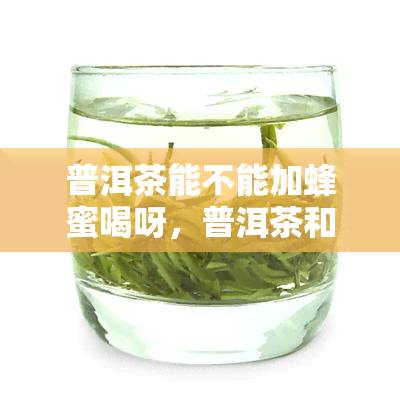 普洱茶能不能加蜂蜜喝呀，普洱茶和蜂蜜能一起饮用吗？